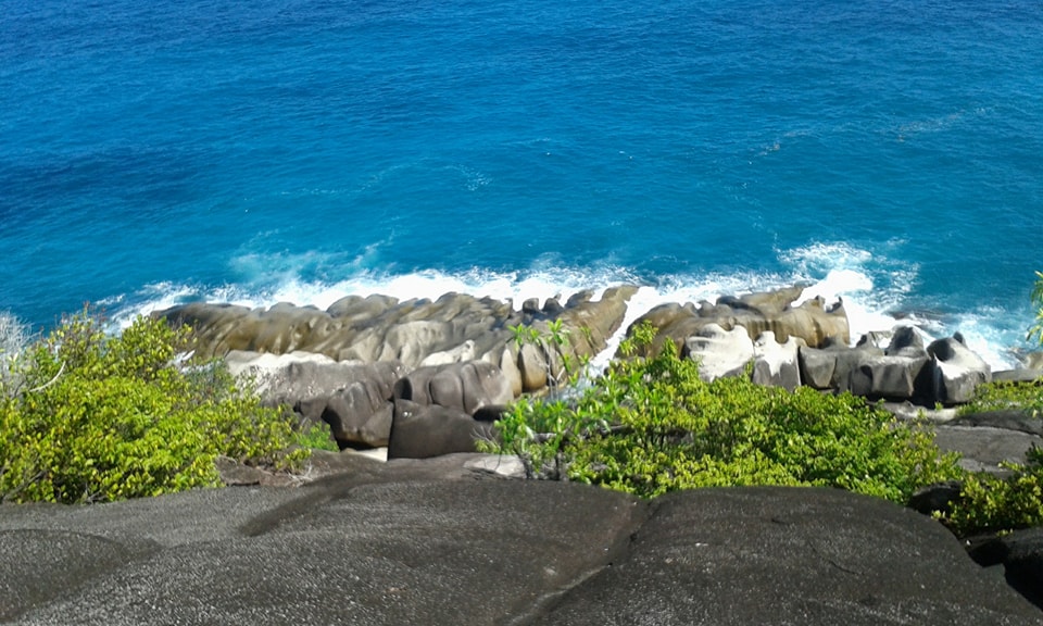 23899217_2432203460253230_109346020_n