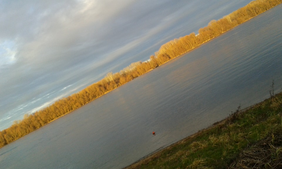 27045346_2463165043823738_1371989303_n